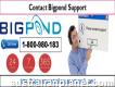 Contact Bigpond Support 1-800-980-183 Login Without Error