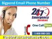 Obtain Bigpond Email Phone Number To Solve Bigpond Problems 1-800-980-183