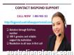 Indistinctive Service 1-800-980-183 Contact Bigpond Support