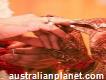 Surah for Love Marriage +91-8239880129