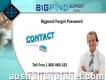 Recover Bigpond Forgot Password 1-800-980-183 Technical Support