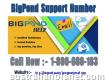 Share Bigpond Errors To Tech Support Team Number 1-800-980-183