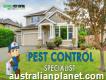 Pest Control Perth Organic Pest Control Ants Pest Control