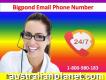 Dial Bigpond Email Phone Number 1-800-980-183 To Obtain Email Support