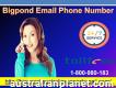 Secure Account With Tech Aid Bigpond Email Phone Number 1-800-980-183