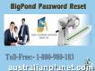 Reset Bigpond Password Through 24-hours Active Team 1-800-980-183