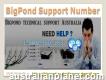Dial Bigpond Support Number 1-800-980-183 to optimize Email Settings