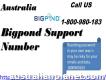 Bigpond Support Number 1-800-980-183interact With Tech Expert