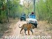 Golden Triangle Tour with Tiger safari