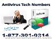 Antivirus Customer Service Number 1-877-301-0214 Immediate Solutions