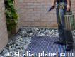 Termite Control Claremont - Pest Inspection Perth