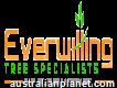 Everwilling Tree Specialists - Central Coast