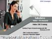 Sales Force Online Training