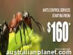 Pest Inspection Perth Termite Control Ashfield