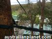 Affordable Tree Removal Service in Castlemaine
