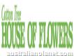 Cotton Tree House of Flowers