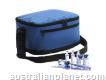 Mini 6l Medicine and Food Transport Cold Chain Bags