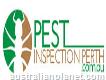 Spider Eradication Perth - Pest Inspection Perth