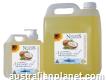 H2o Massage Oil Nature’sextract