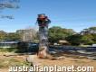 Tree Removal Wahroonga - Alex Tree and Garden Services