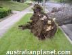 Tree Removal Stanmore - Charles Tree Services