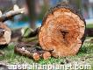 Land Clearing Sydney - Ben's Tree and Garden Services