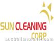Commercial Cleaner