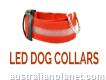 Led Dog Collars Australia