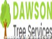 Dawson Tree Services