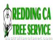 Redding Ca Tree Service