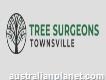 Tree Surgeons Townsville