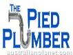 The Pied Plumber