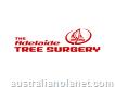 The Adelaide Tree Surgery