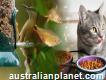 Fluval Canister Aquarium Filter & Maple Pets International Pvt Ltd