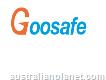 Goosafe - world's slimmest speed gate