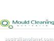Mould Cleaning Australia Pty Ltd