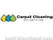 Carpet Cleaning Williamstown