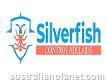 Silverfish Control Adelaide