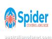 Spider Control Adelaide