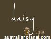 Daisy Digital - Marketing Agency Perth