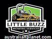 Little Buzz Mowing & Property Services
