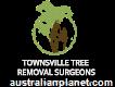 Townsville Tree Removal Surgeons