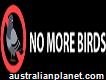 No More Birds Sydney