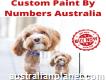 Custom Paint By Number: Select The Perfect Image For Your Next Personalized Painting