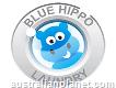 Blue Hippo Laundry - Mernda