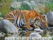 Book Sundarban Tour Packages Br Holidays