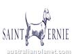 Saint Ernie's dog beds and other dog accessories