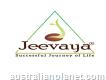 Jeevaya Ayurveda panchakarma therapy courses, Spa therapy courses Kerala