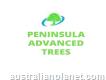 Peninsula Advanced Trees