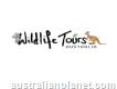 Wildlife Tours Australia